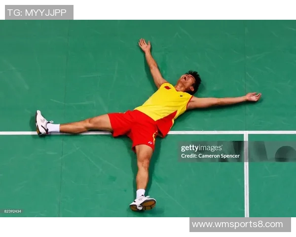 2017年羽毛球巅峰对决林丹李宗伟精彩回顾与赛后分析